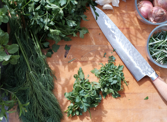 Hackade färska örter (dill, basilika, korriander, salvia)